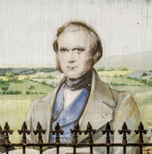 Mural of Charles Darwin