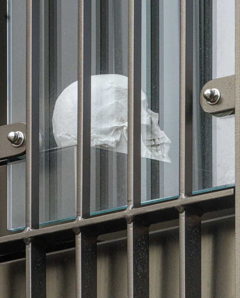 Ornamental skull in a window